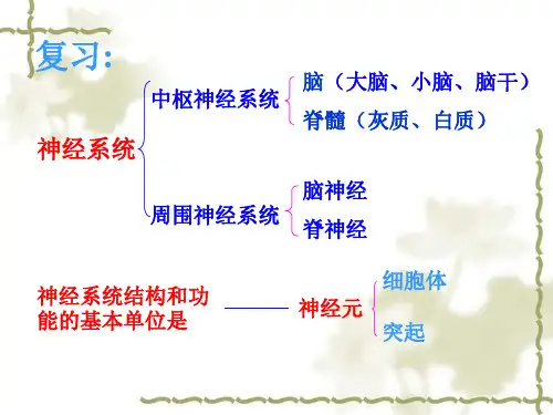 第五章 第三节 神经调节的基本方式