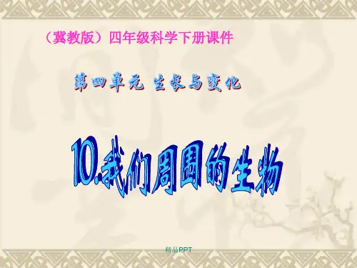 冀教版小学四年级下册科学《周围的生物PPT课件》教学