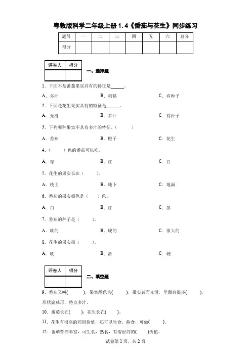 粤教版科学二年级上册1.4《番茄与花生》同步练习