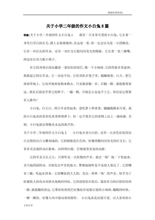 关于小学二年级的作文小白兔8篇