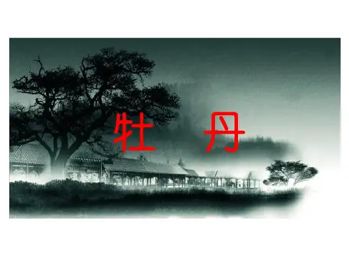 牡丹