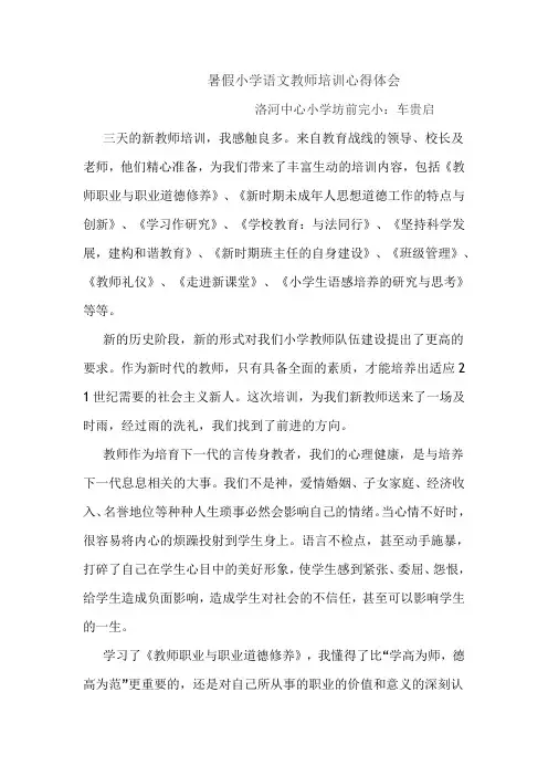 暑假小学语文教师培训心得体会  (5).