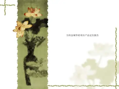 万科金域华府项目产品定位报告