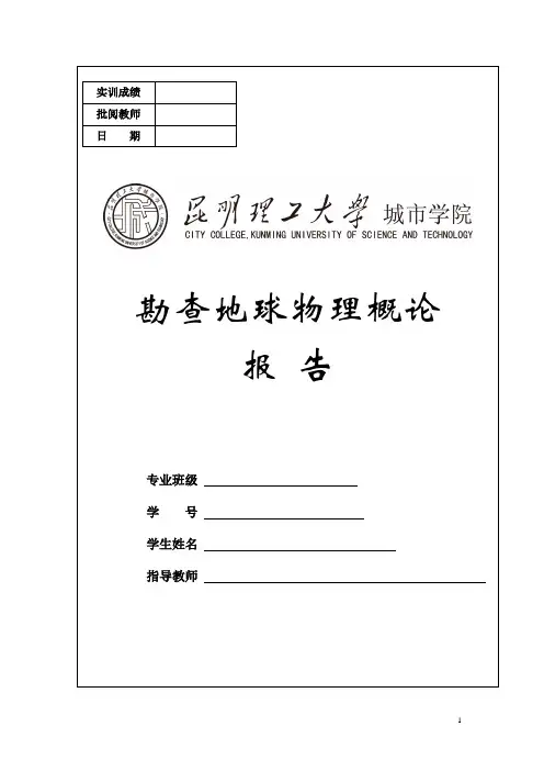 物探报告