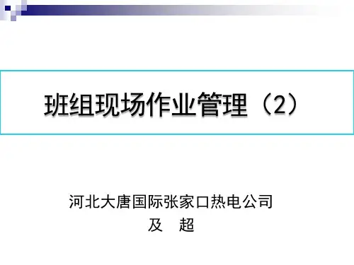 发电企业班组现场作业安全管理(2)