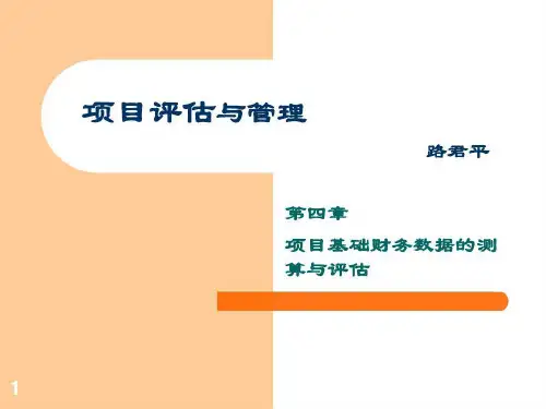 项目基础财务数据和测算及评估共99页