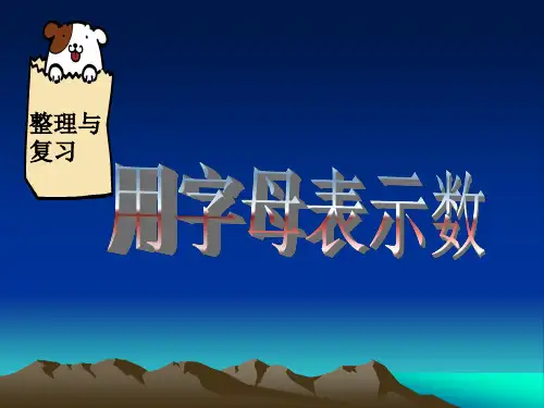 (完整版)整理与复习用字母表示数