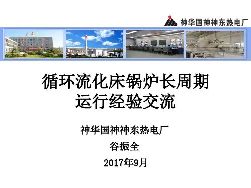 循环流化床锅炉长周期运行经验交流