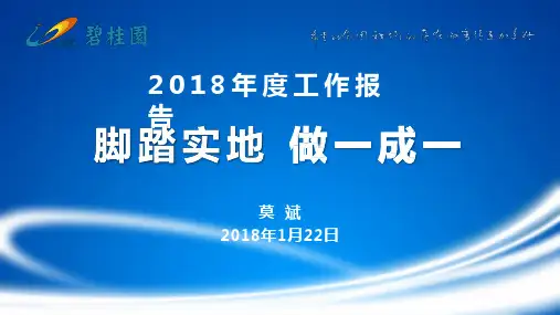 标杆房企总裁年会工作报告总结报告 (干货)