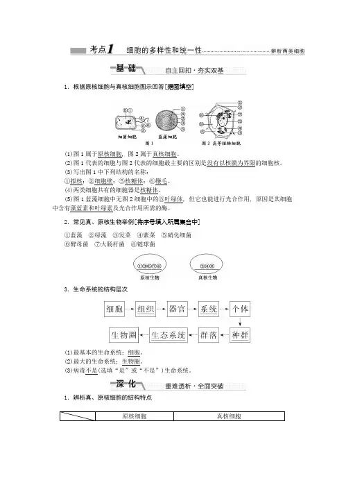 细胞的多样性及统一性考点及试题
