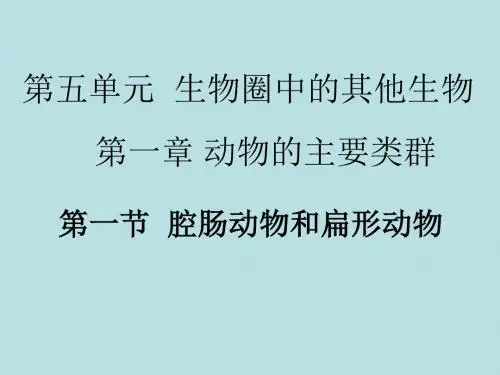 第一节  腔肠动物和扁形动物