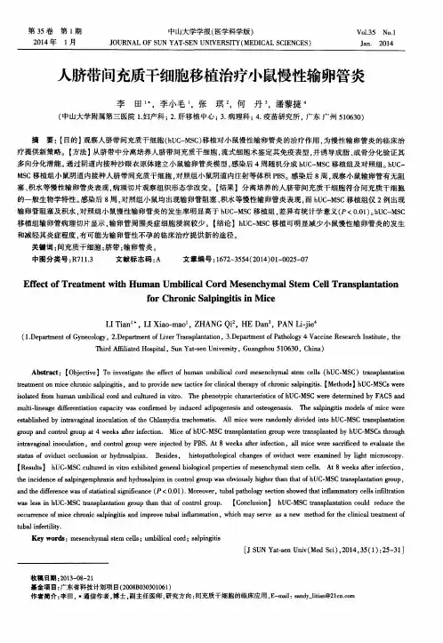 人脐带间充质干细胞移植治疗小鼠慢性输卵管炎