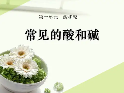 九年级化学 常见的酸和碱 课件