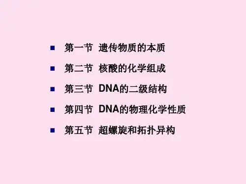 分子生物学第二章 DNA结构