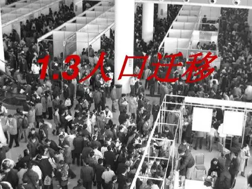 人口迁移PPT课件(上课用)14