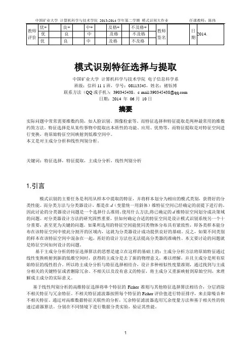 模式识别特征选择与提取