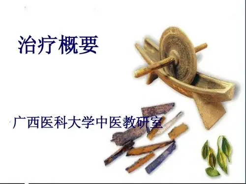 治疗概要ppt