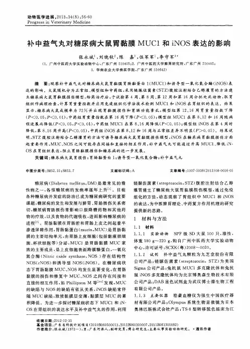 补中益气丸对糖尿病大鼠胃黏膜MUCl和iNOS表达的影晌