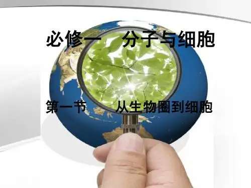 1.1《从生物圈到细胞》(上课用)