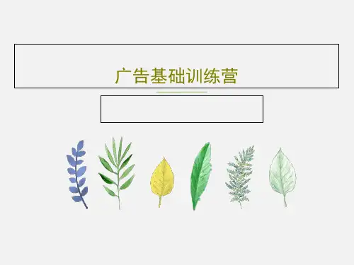 广告基础训练营共37页文档