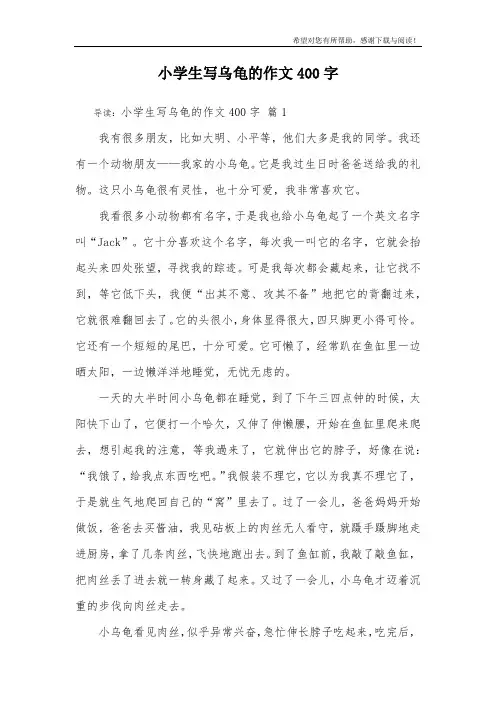 小学生写乌龟的作文400字_4