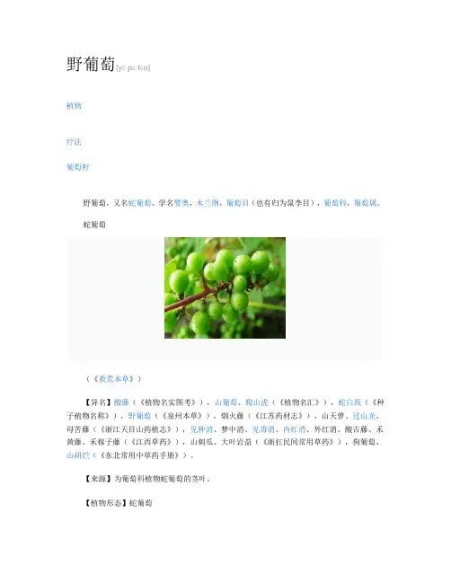 野葡萄