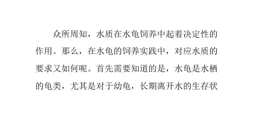 养龟的水质要求