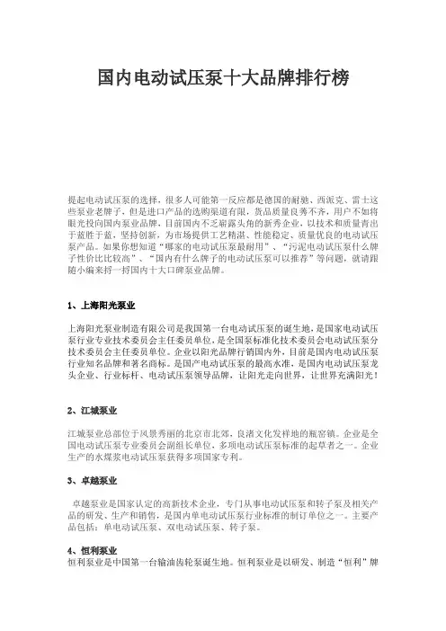 国内电动试压泵十大品牌排行榜