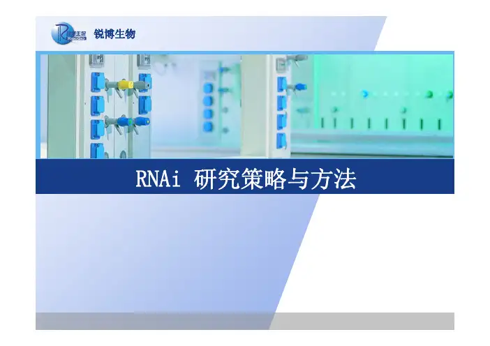 RNAi 研究策略与方法