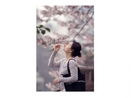 (28) 梧桐 落叶