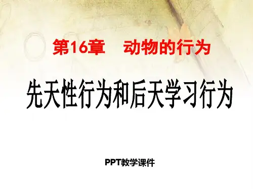 5.16.1先天性行为和后天学习行为2精品课件