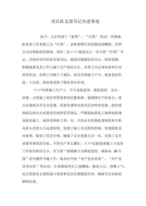 项目队支部书记先进事迹