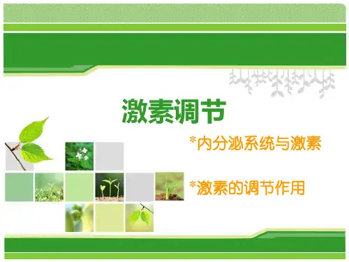 北师大版八年级 激素调节
