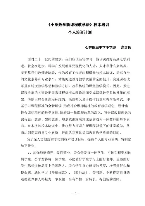 高红梅-《小学数学新课程教学法》校本培训计划