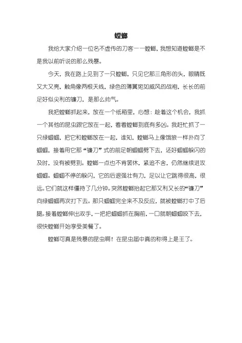 三年级作文：描写螳螂的作文400字