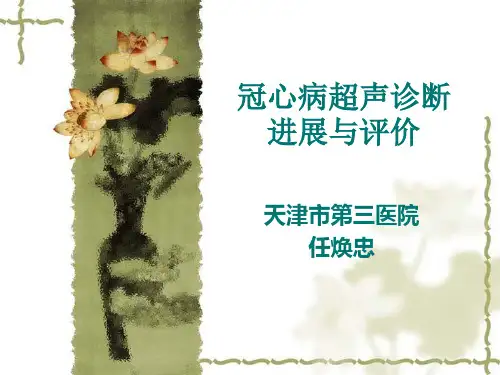冠心病超声诊断进展与评价