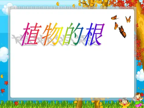 小学科学《植物的根》课件