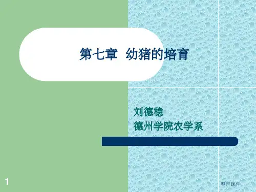 《幼猪的培育》PPT课件