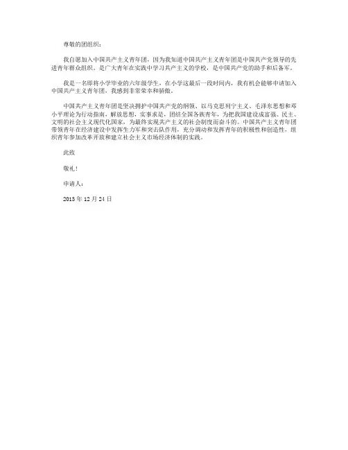 2013年简洁版入团志愿书
