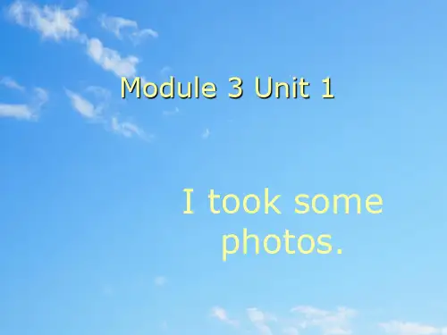 外研版一起小学英语六下《Module 3Unit 1 I took some photos.》PPT课件 (2)