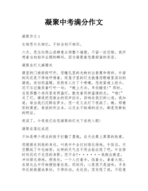 凝聚中考满分作文