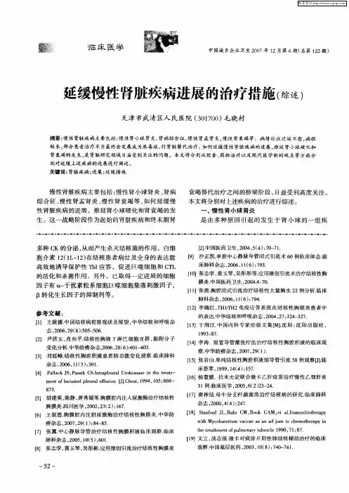 延缓慢性肾脏疾病进展的治疗措施(综述)