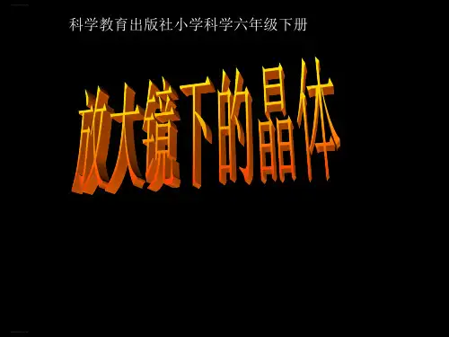 六年级下册科学课件1.3 放大镜下的晶体｜教科版 (共75张PPT)