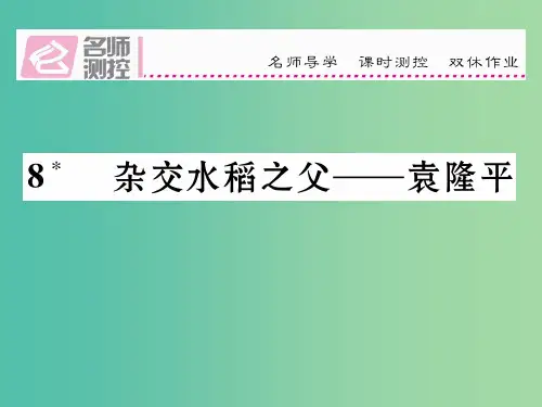 八年级语文上册 第二单元 8《杂交水稻之父——袁隆平》 语文版