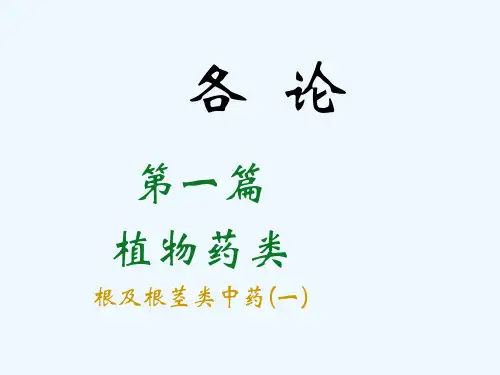 根和根茎类中药1 ppt课件