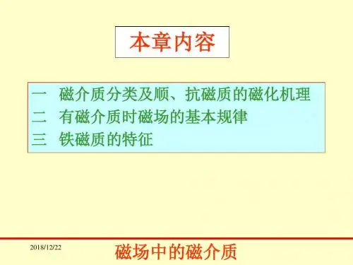 13-1-磁介质解析