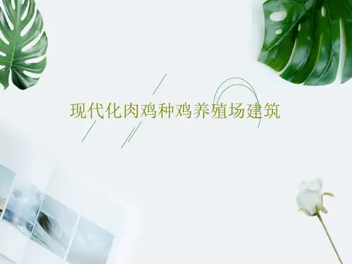 现代化肉鸡种鸡养殖场建筑44页PPT