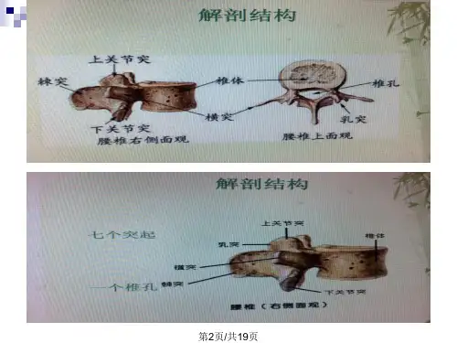 业务查房优秀PPT课件