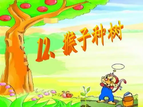 12.猴子种树2
