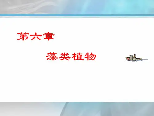 第三章藻类解读